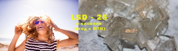 индика Покачи