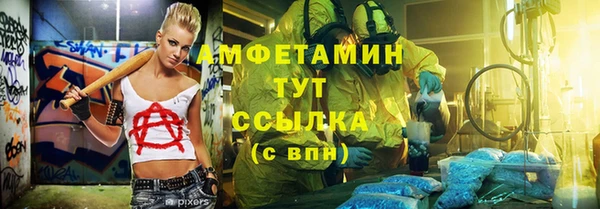 индика Покачи
