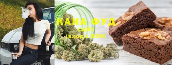 индика Покачи