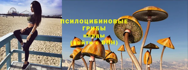 ешки Покров